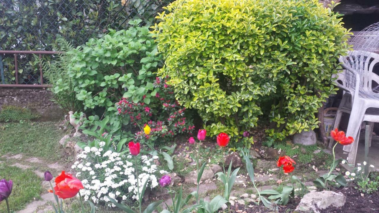 B&B Il Patio แบร์กาโม ภายนอก รูปภาพ